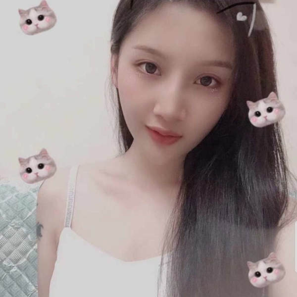 雪燕子的照片