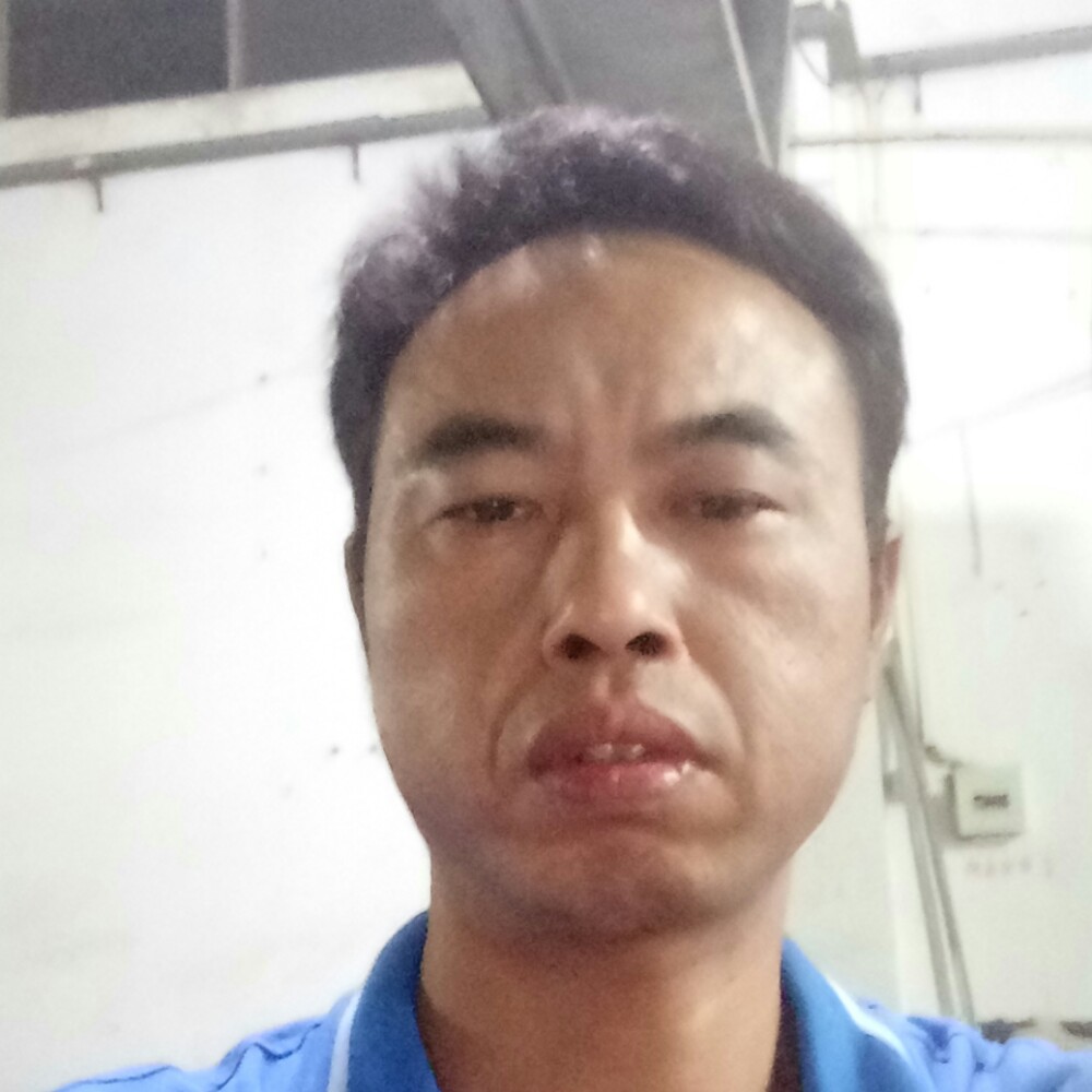 小松鼠复杂的照片