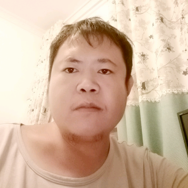 愉快的小火鸡的照片