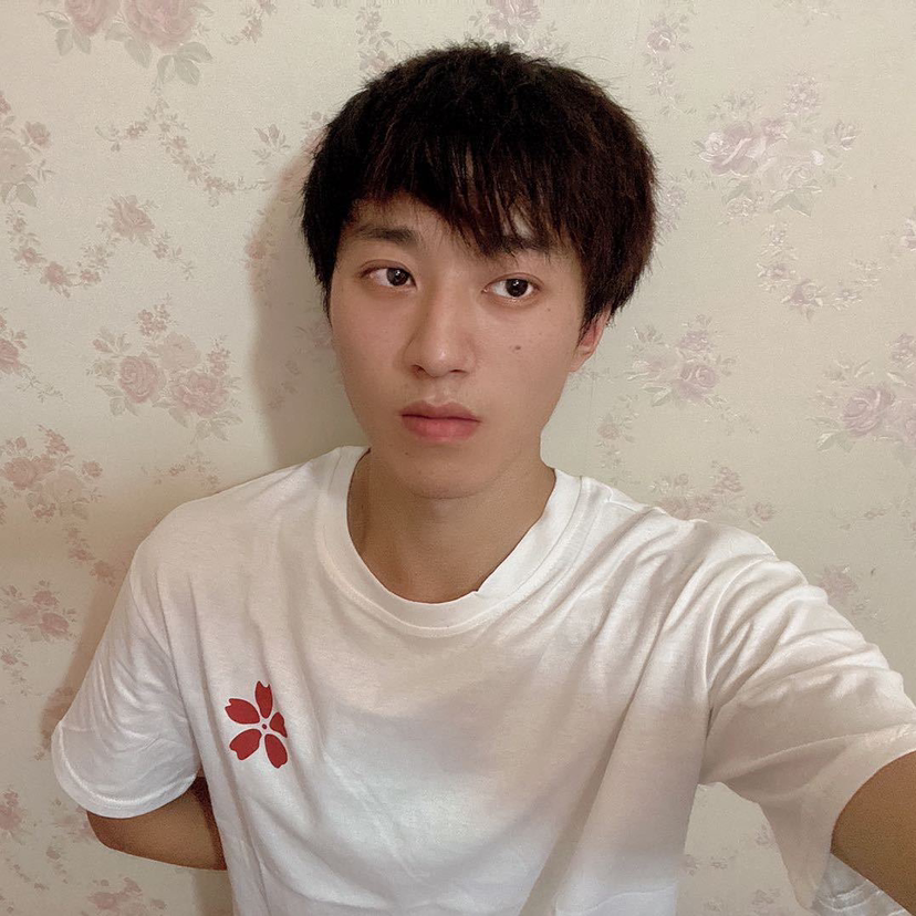 木槿¹的照片
