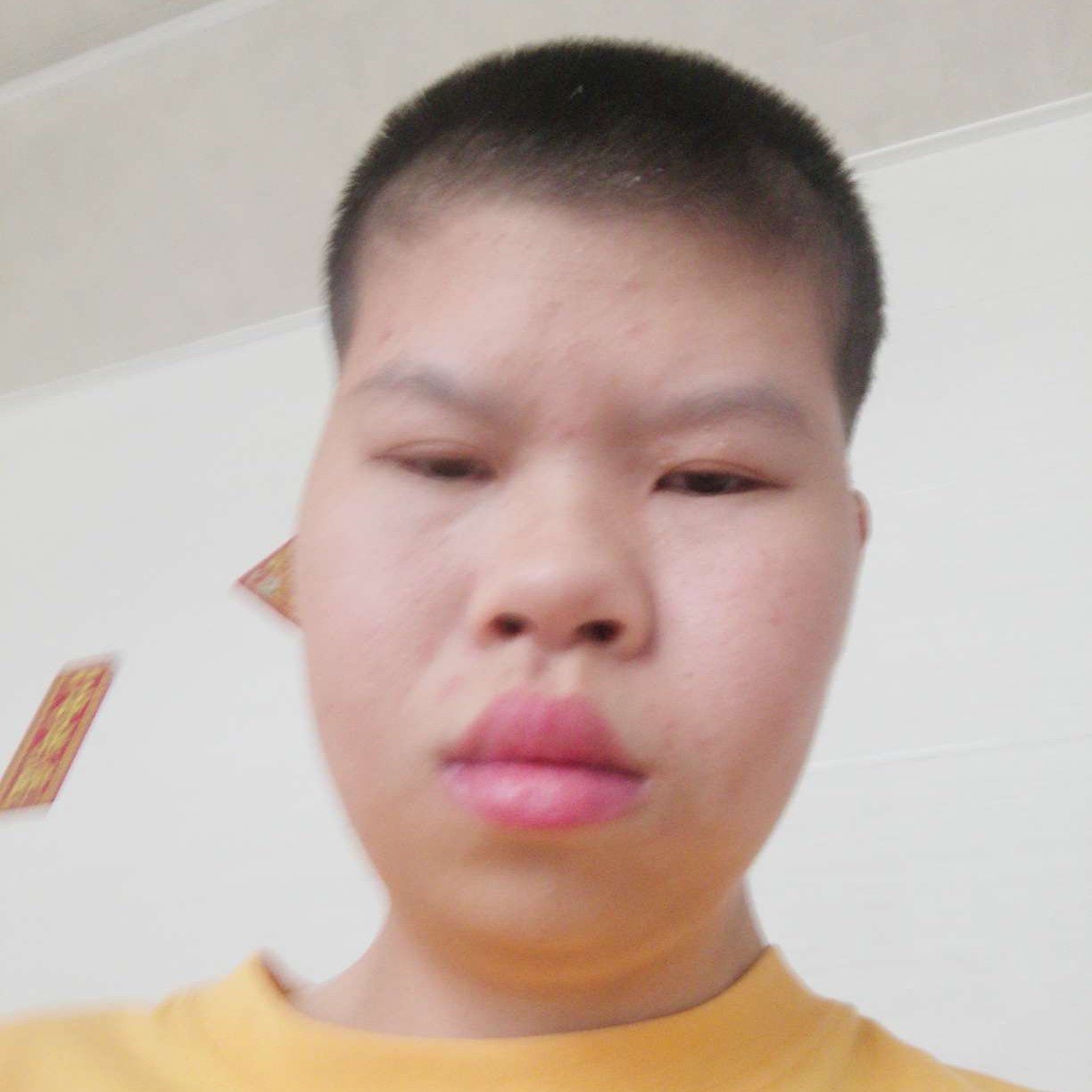 虎扬的照片