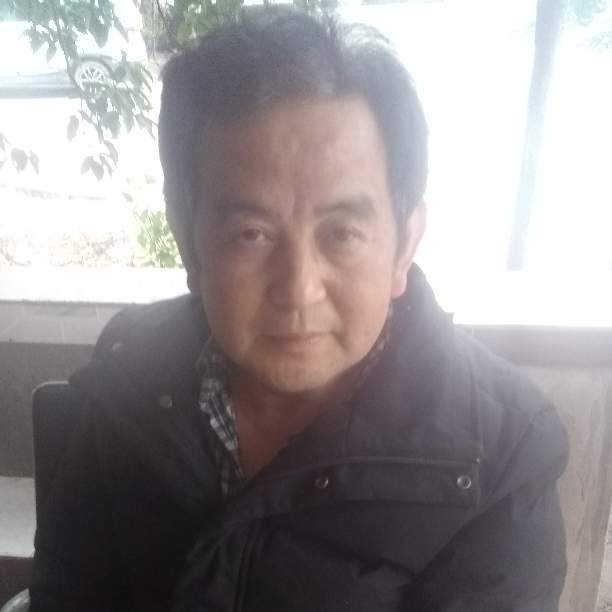 晨阳漫步霸气的照片