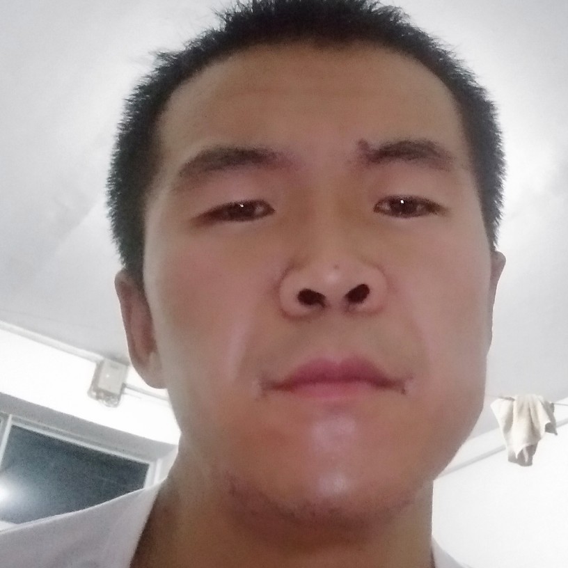鹰、中校团长的照片