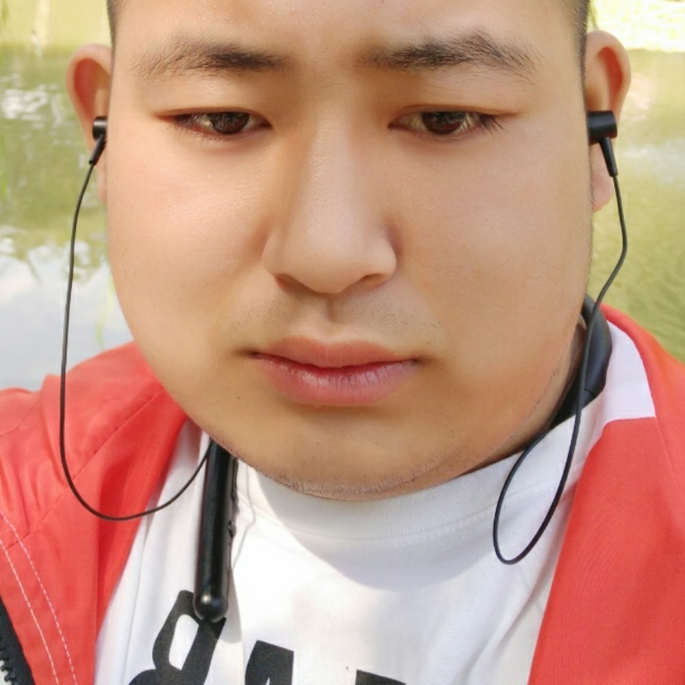 傻傻和盼望的照片