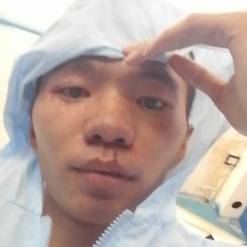干净保卫芝麻的照片