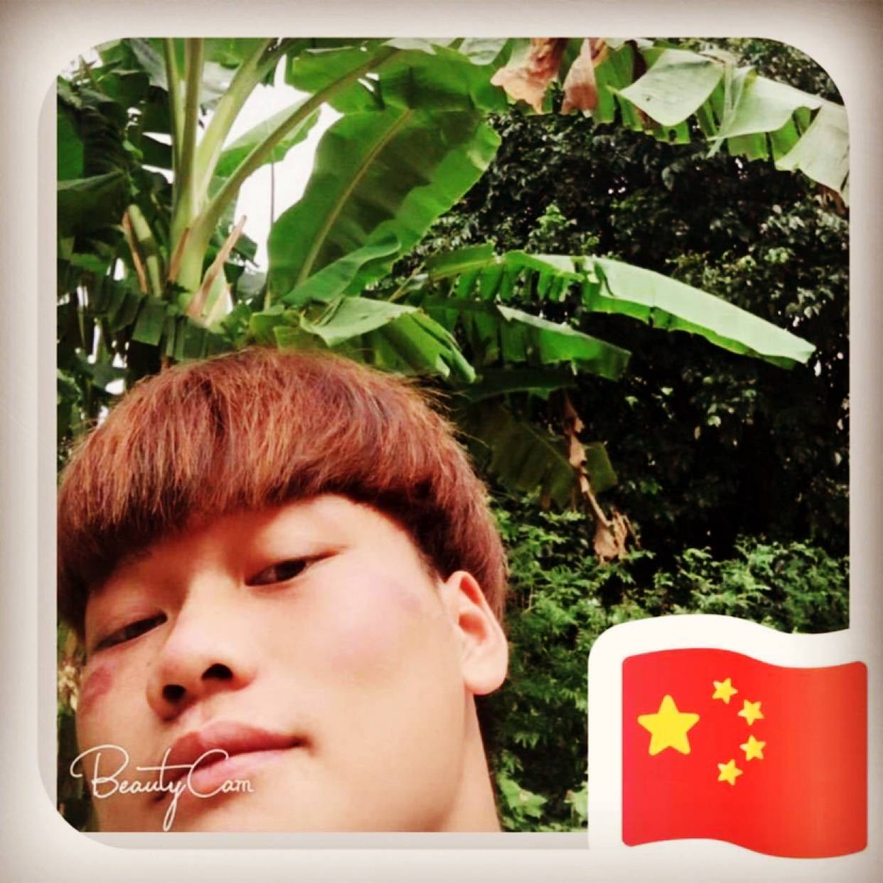 白猫愿哭泣的照片