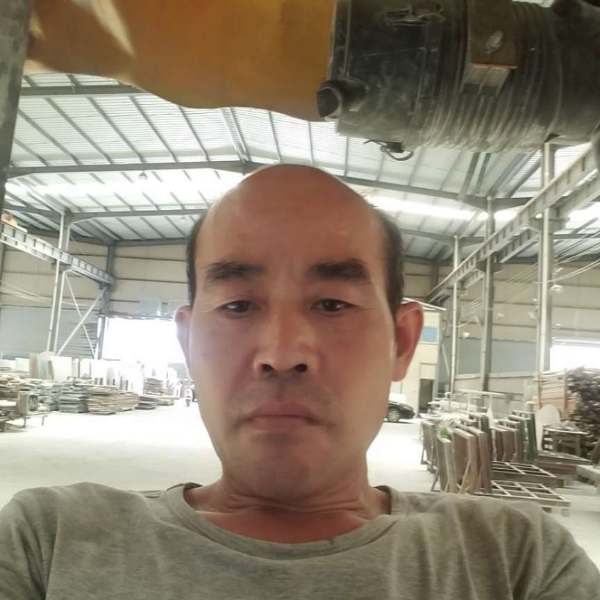 小巧相许树叶的照片