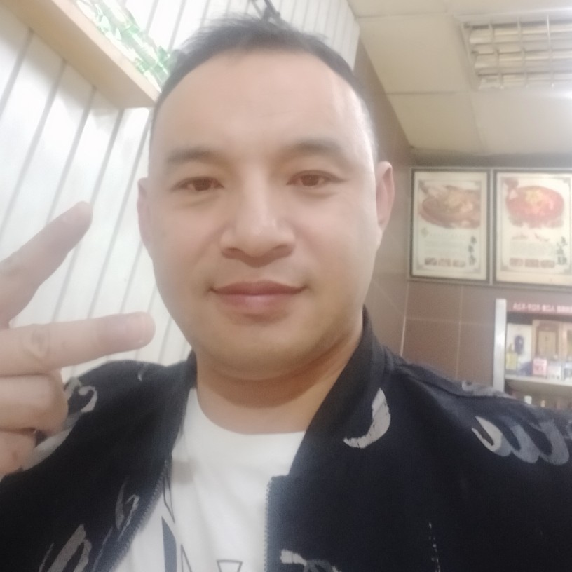孤独给小鸽子的照片