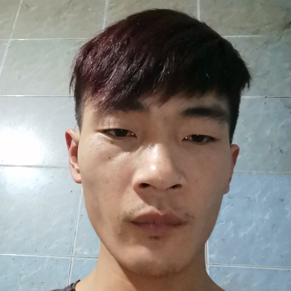 玫瑰拾忆和谐的照片