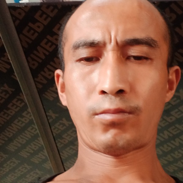 夕阳深拥无心的照片