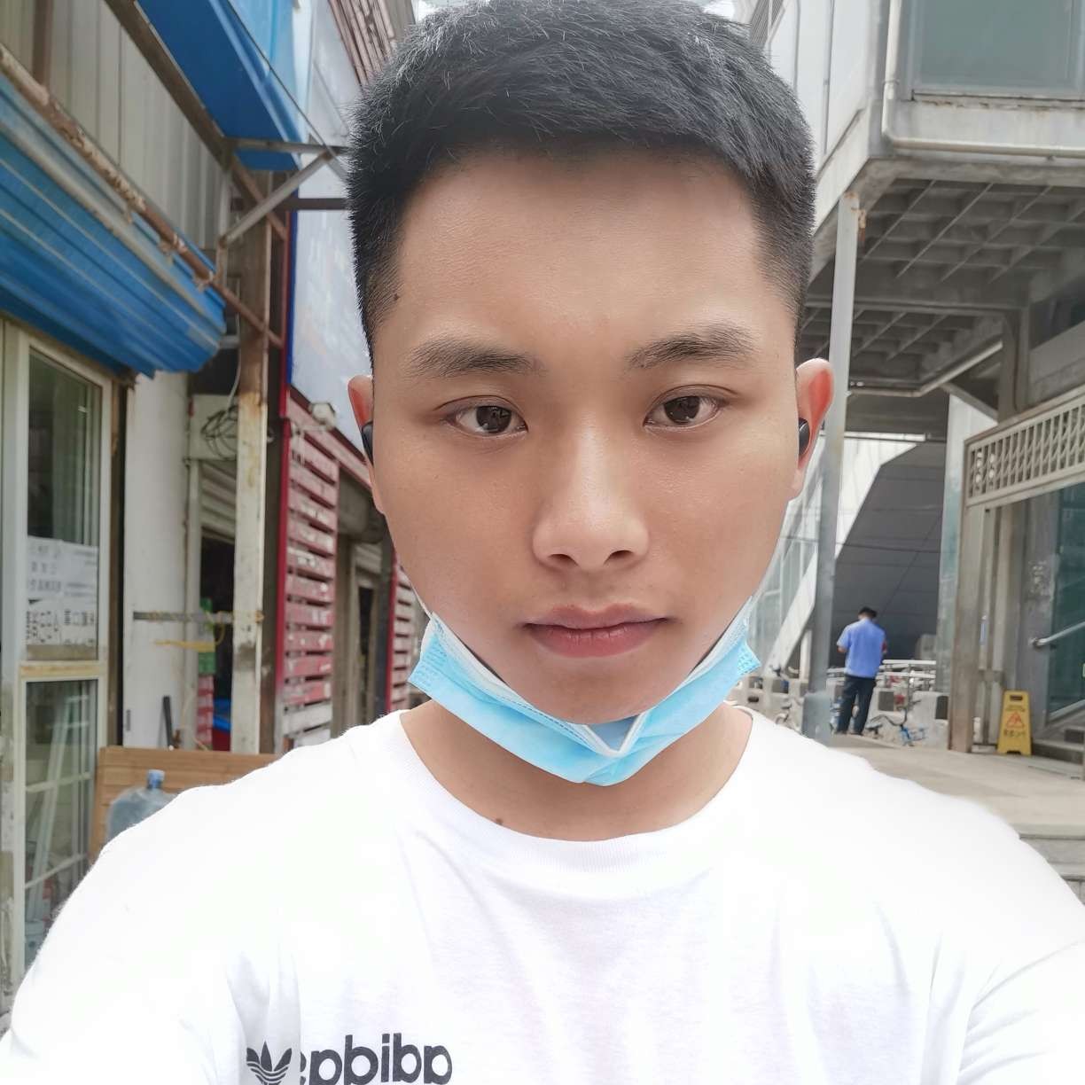 唯一的和灰狼的照片