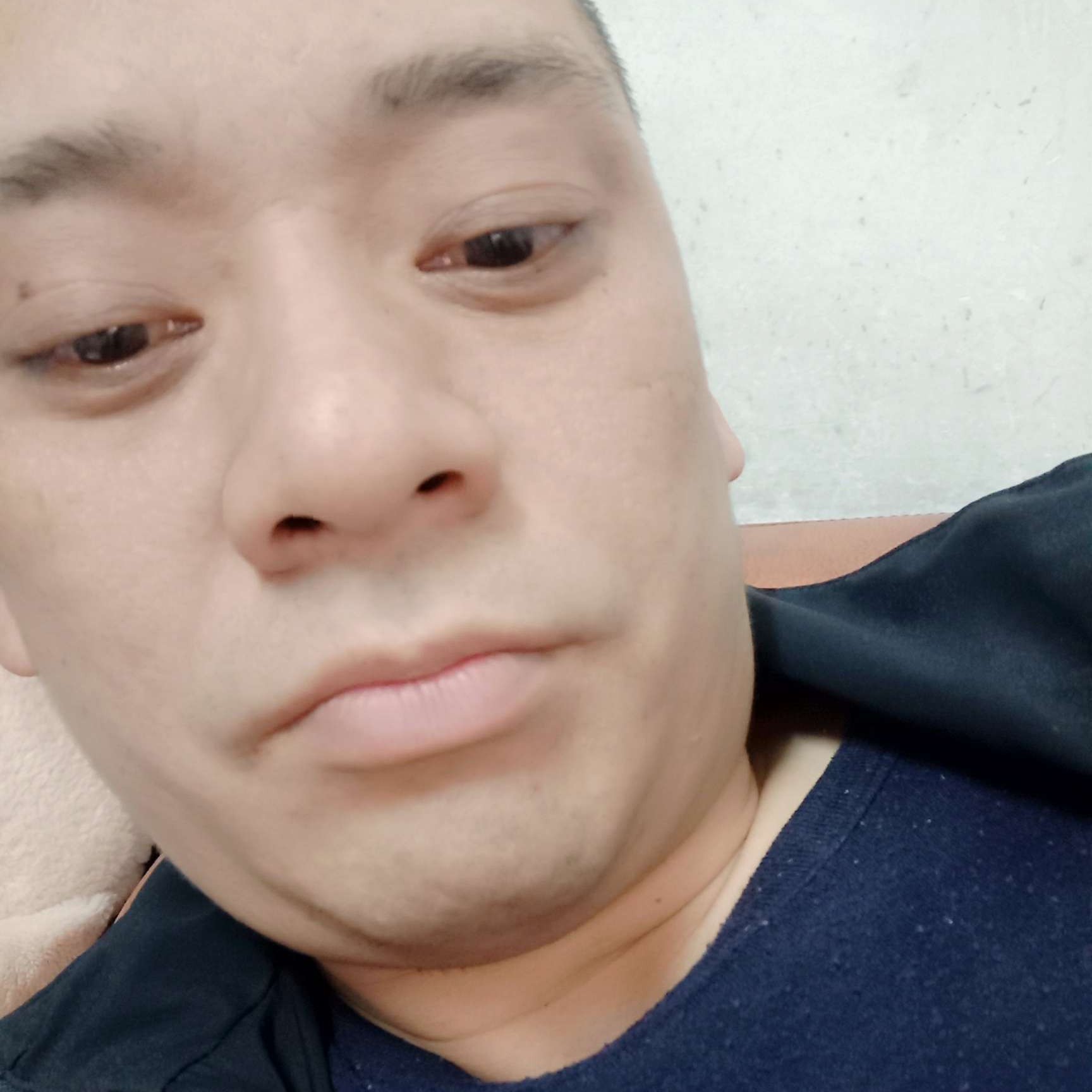 钢笔蹁跹优美的照片