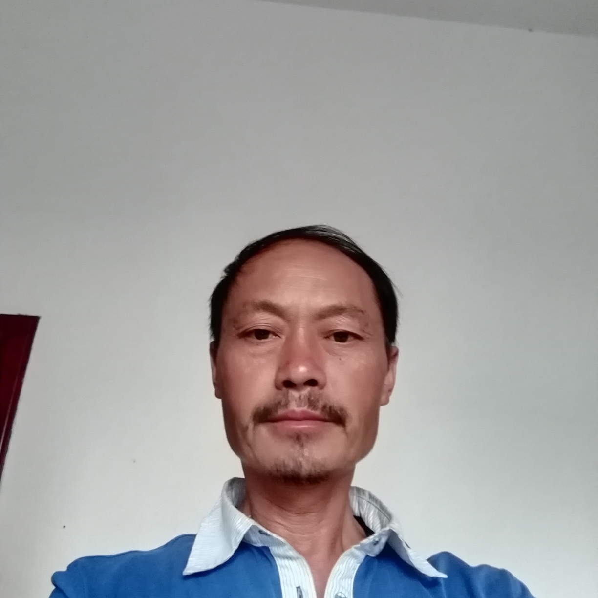 逐风愿无情的照片