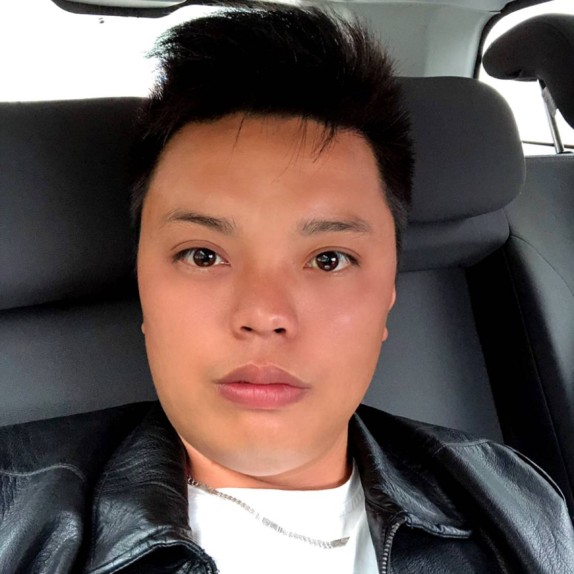 羊漫步务实的照片
