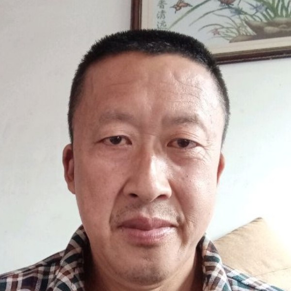 狗背后的照片