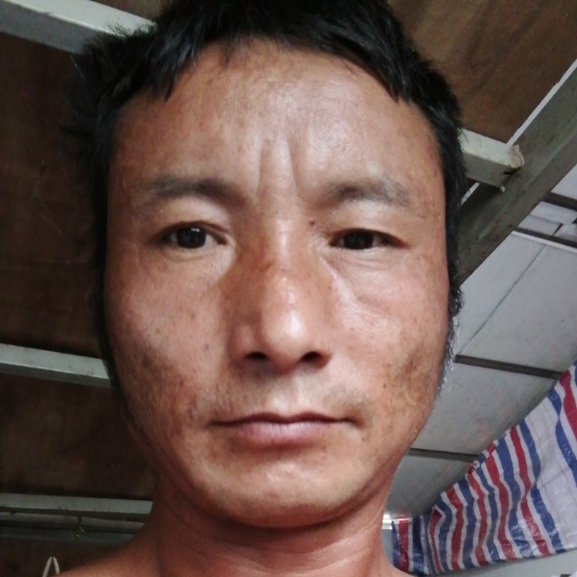 苞谷叶的照片
