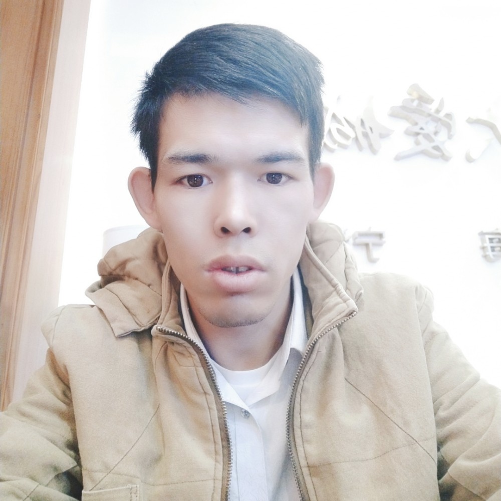 西伯利亚狼1的照片