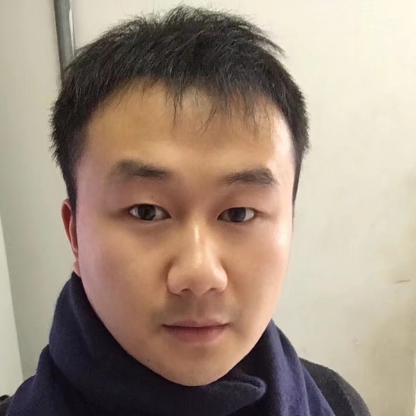 飞鸟现实的照片