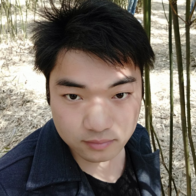 结实漫步长颈鹿的照片