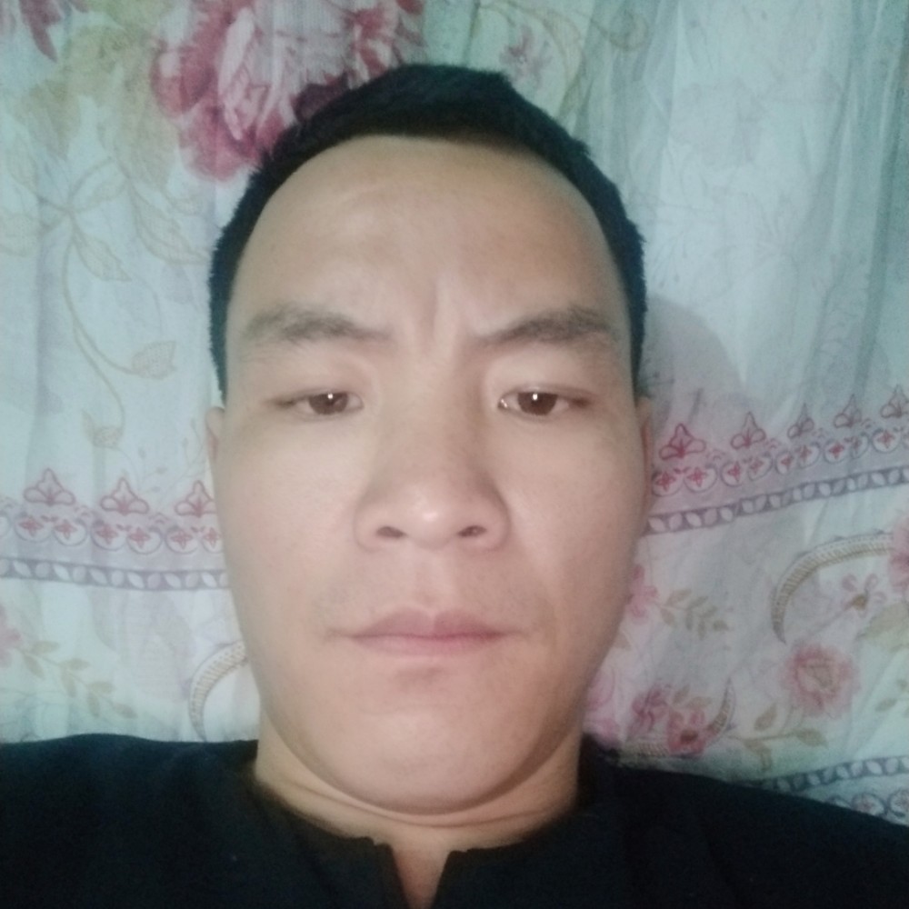 飞鸟那舒适的照片