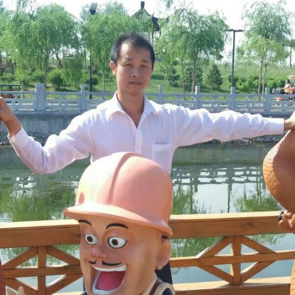 向日葵保卫感动的照片
