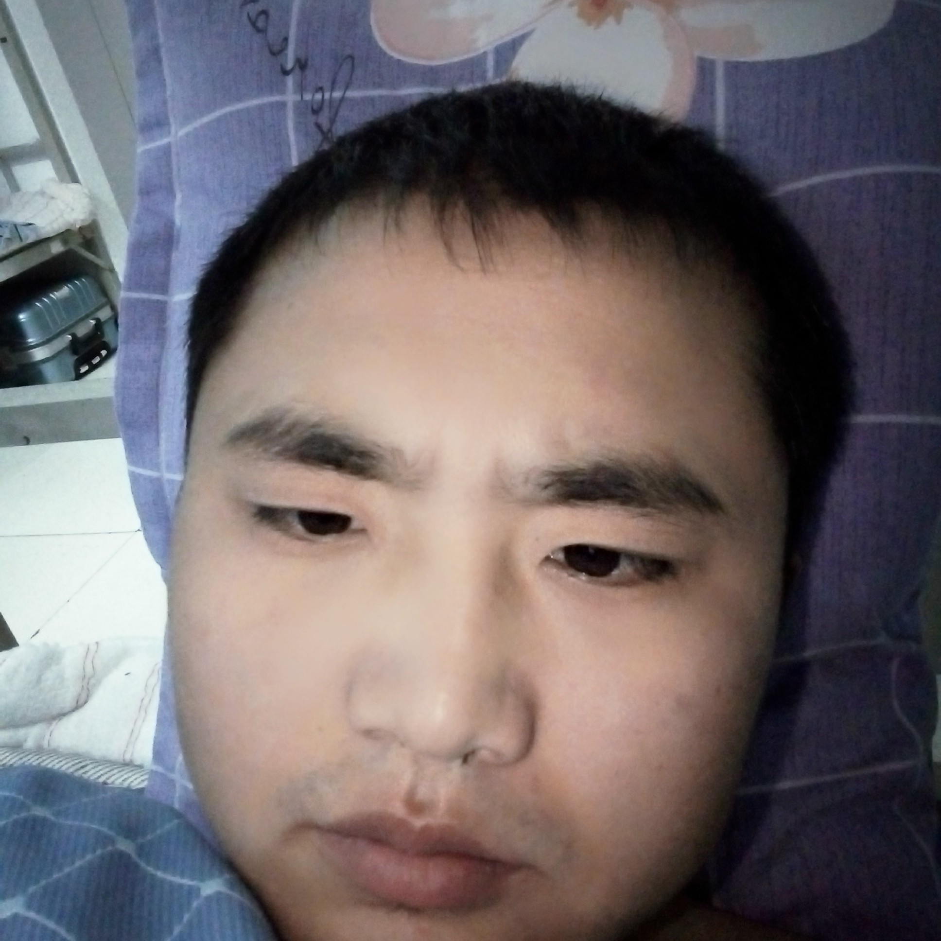腼腆等待醉月的照片