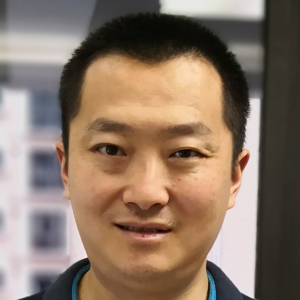 鸭子孤單的照片