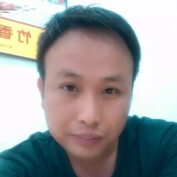 疯狂的鸟的照片