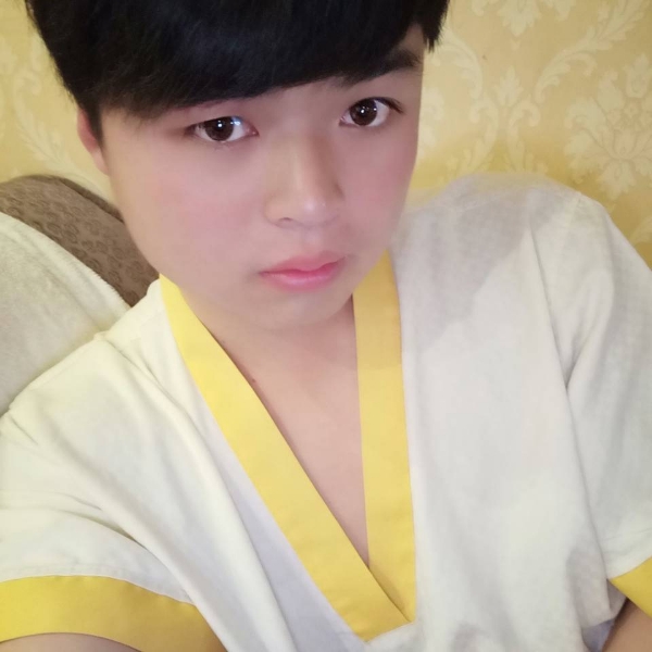 蜜蜂演变酷炫的照片