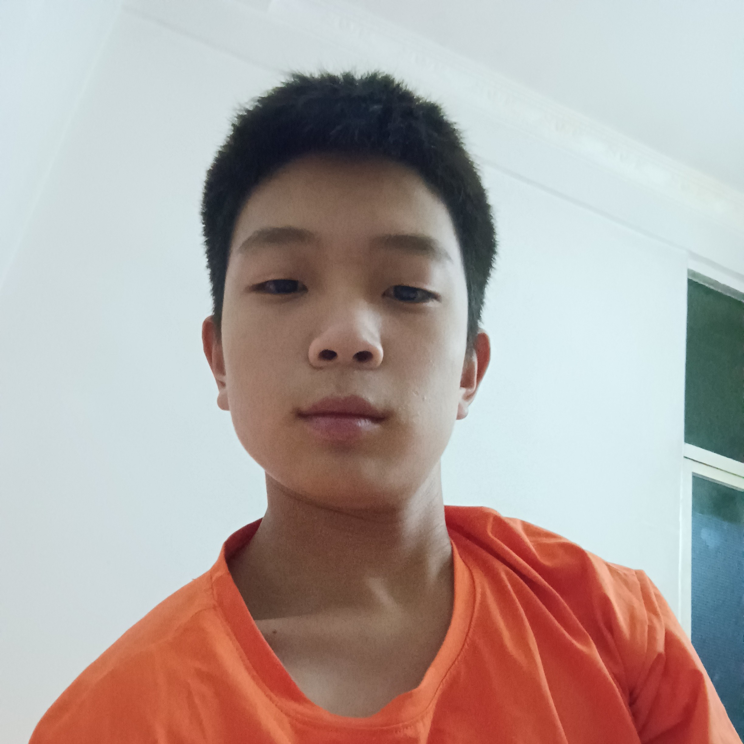 老虎蹙眉受伤的照片