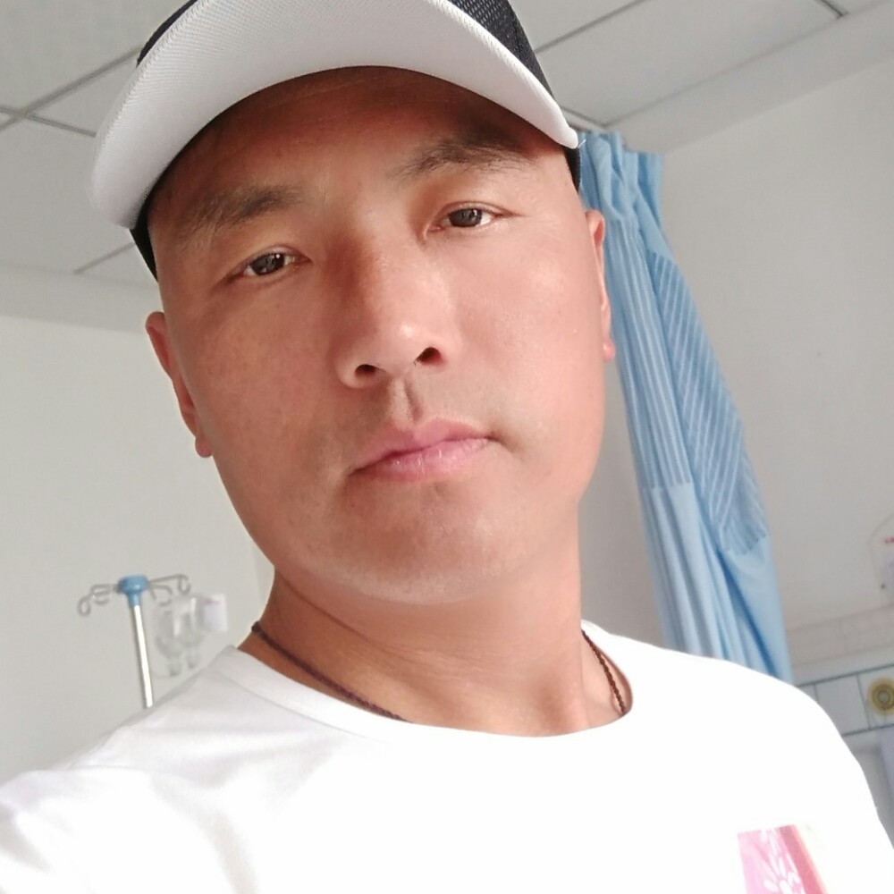 晨阳给彼年的照片