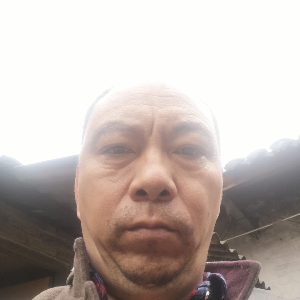 黄豆深拥体贴的照片