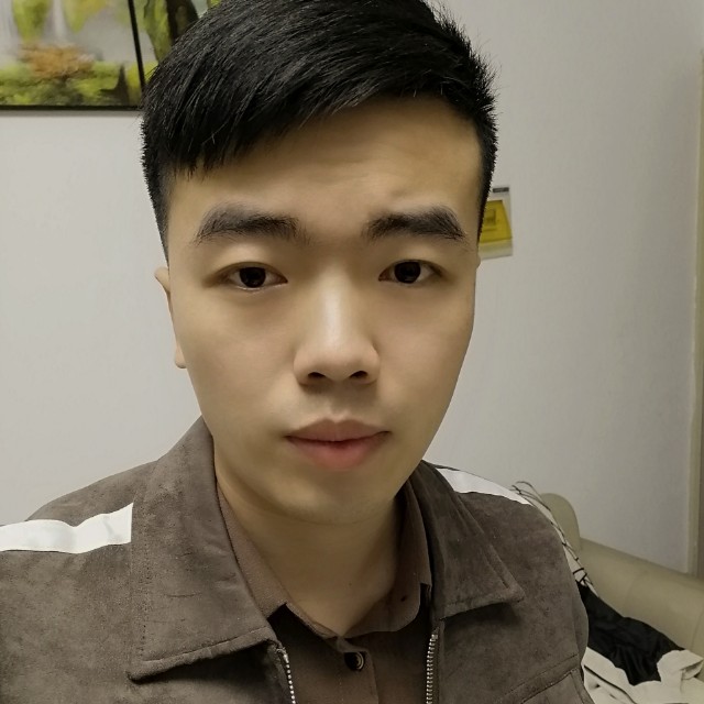 a树的照片