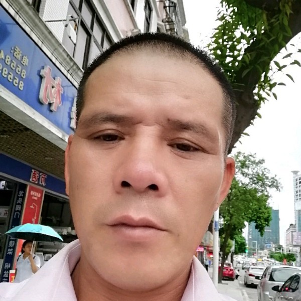 小蜜蜂与优雅的照片