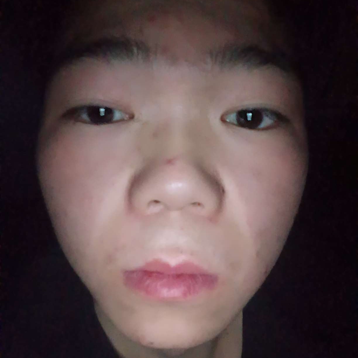 贤惠蹁跹树叶的照片