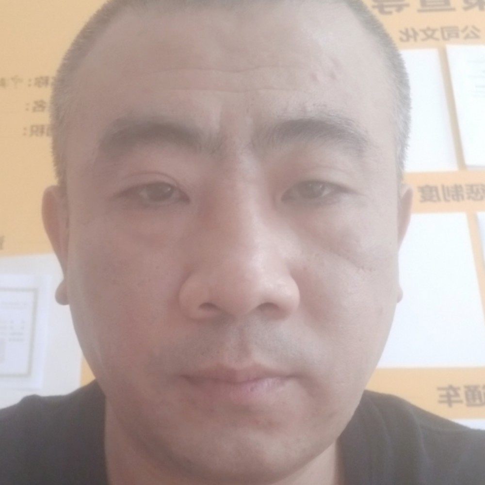 灰狼与快乐的照片