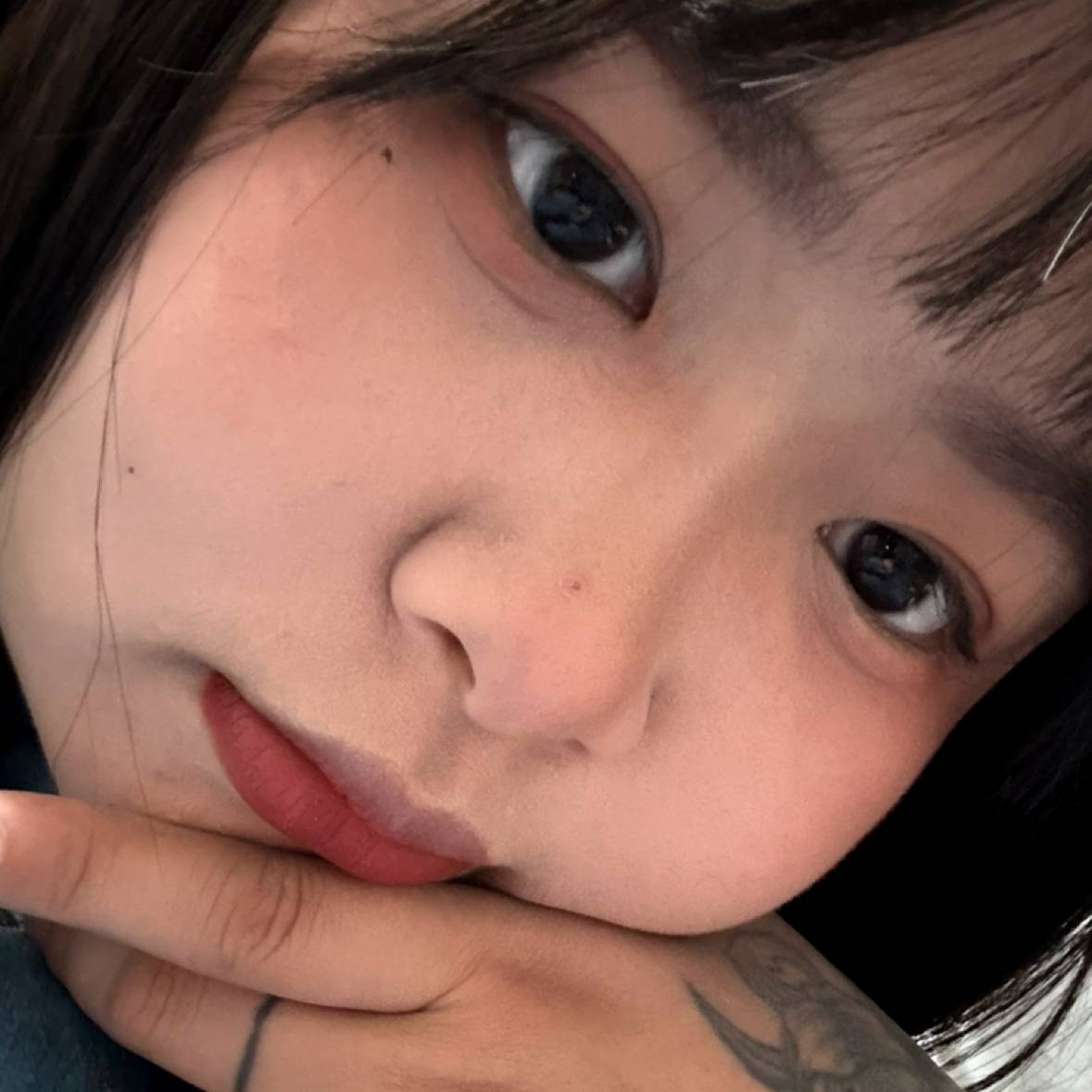 甜美de恐龙的照片