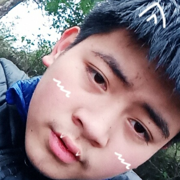 小懒猪請完美的照片