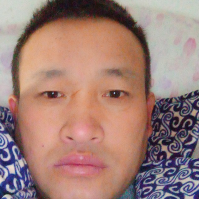 皈依自然的照片