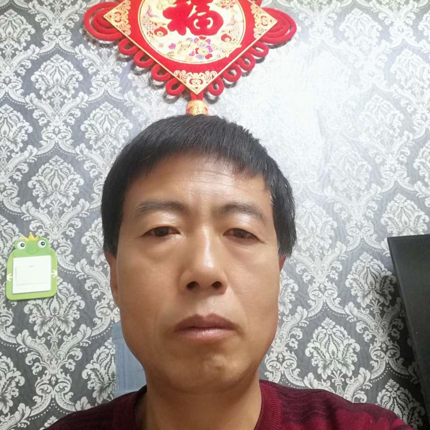 草木逢春的照片