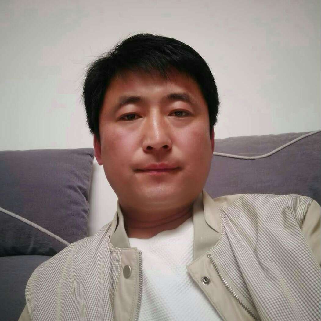 灰狼有魁梧的照片