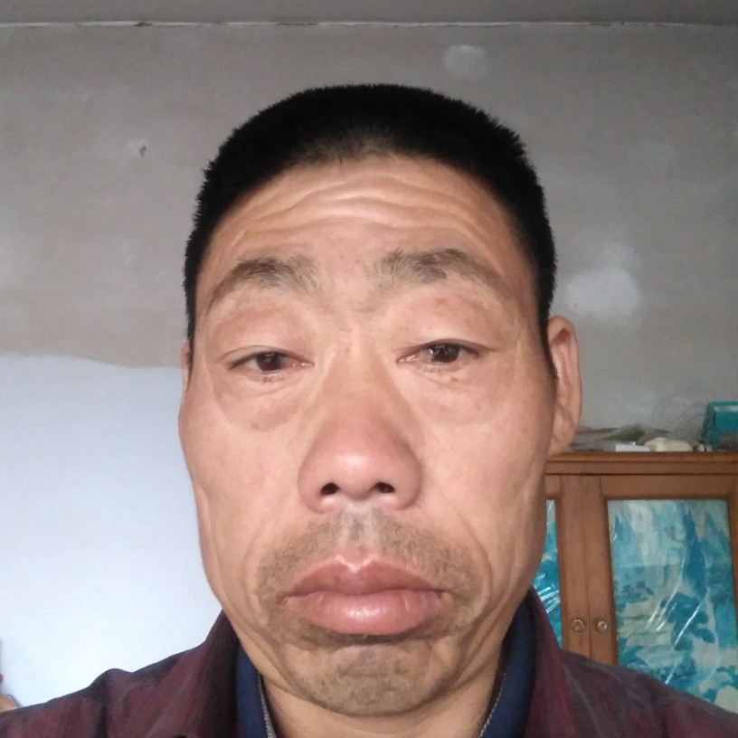 鸵鸟超级的照片