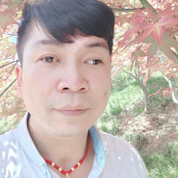 风雨过后一片晴天的照片