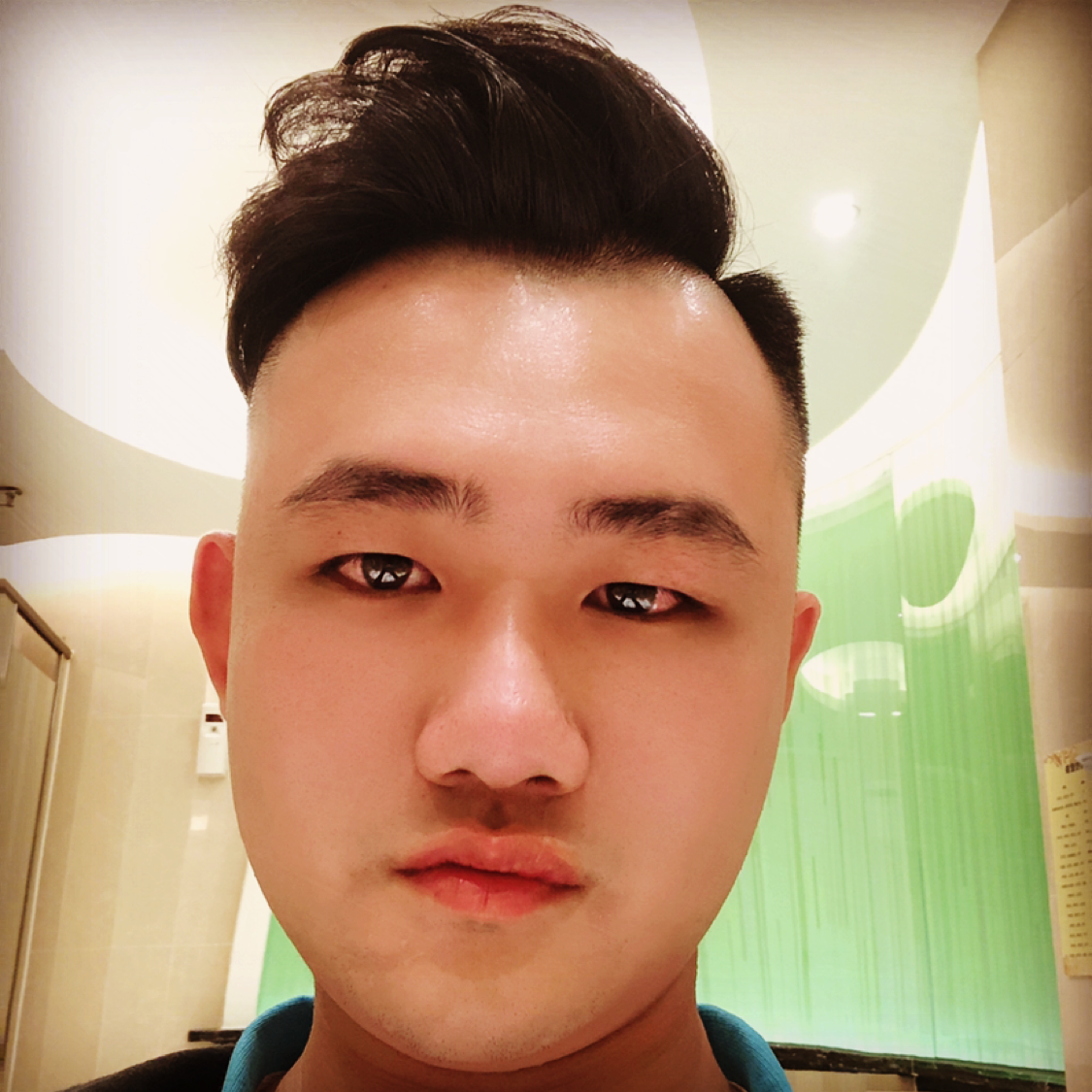 乌龟多么犹豫的照片
