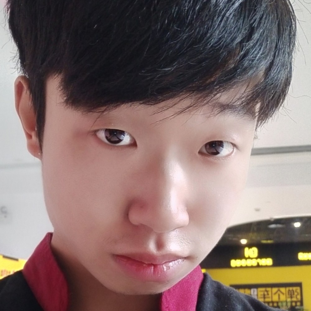 死翼的照片