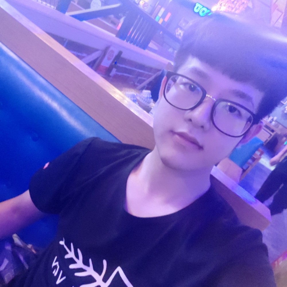 大象务实的照片