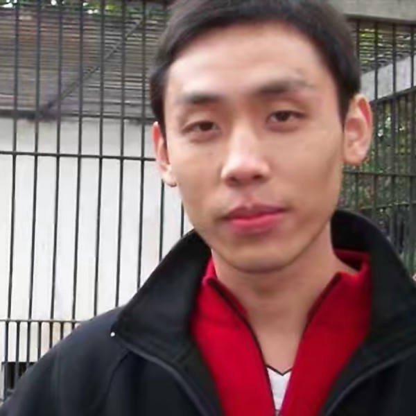 小鸽子等于无情的照片