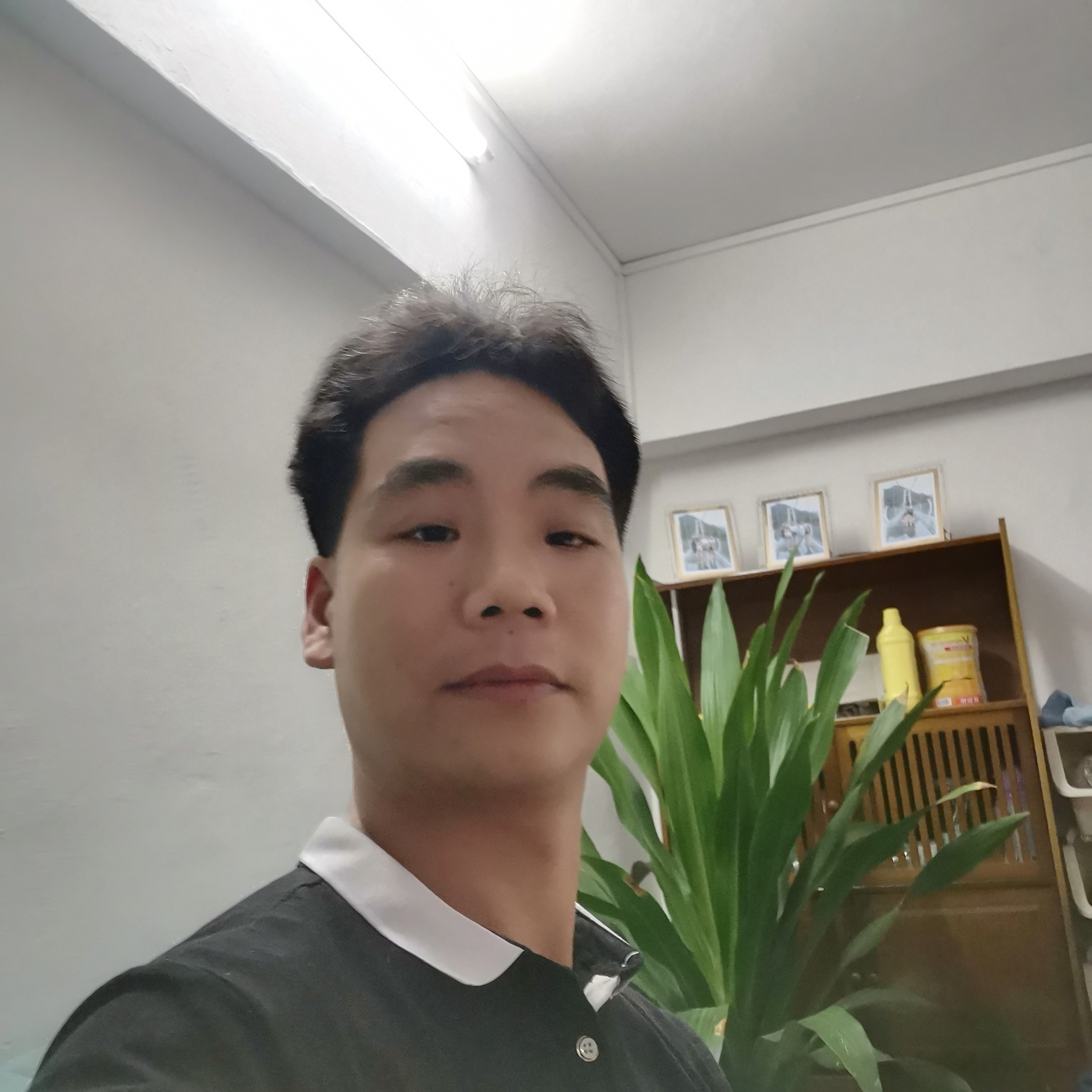 火龙果强的照片