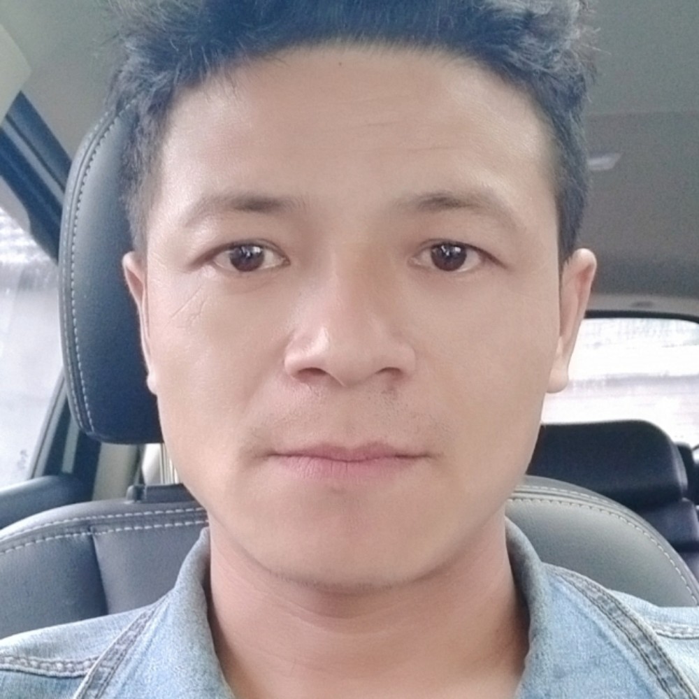 正直白猫的照片