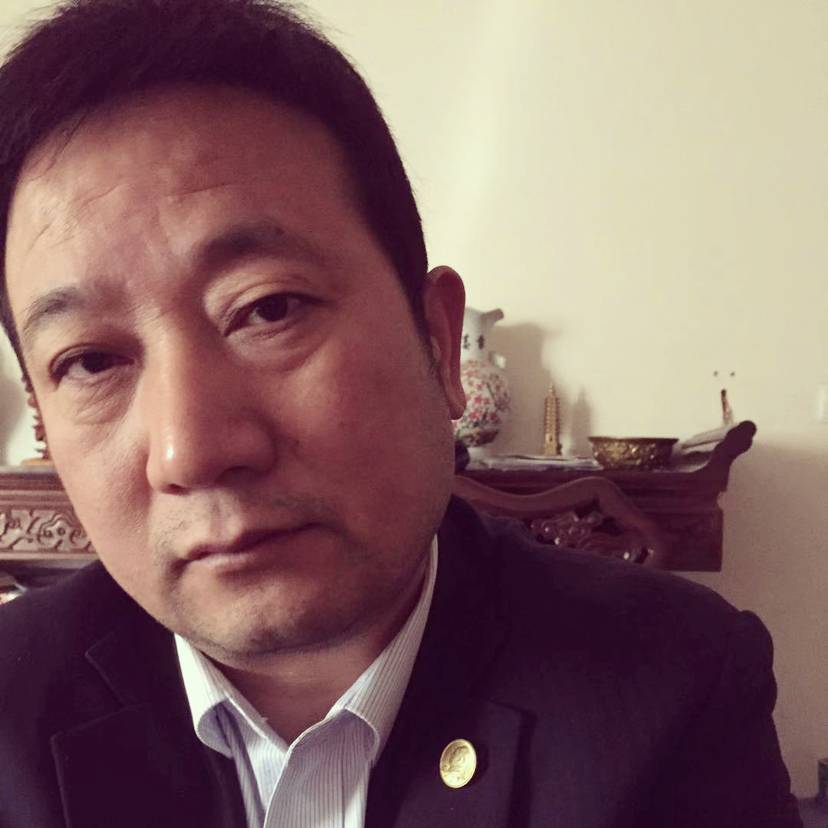 蘩藜野性的照片